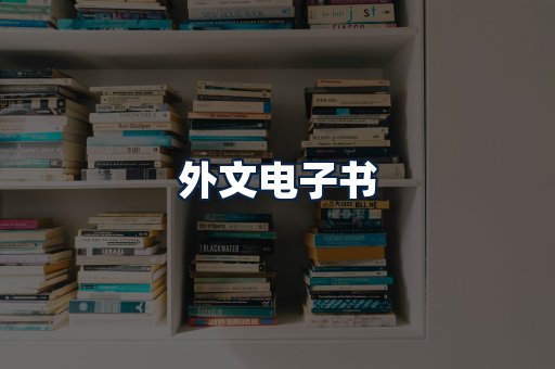 外文电子书